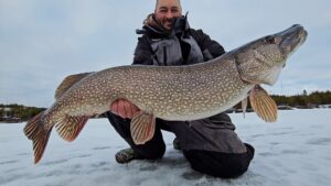 3. huge northern pike ice fishing