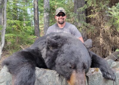 black bear hunt