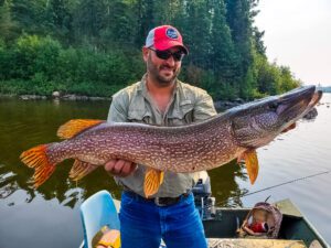 northern pike