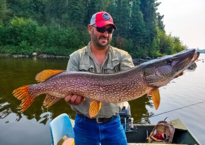 northern pike